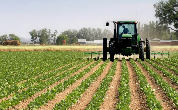 agriculture 1j2