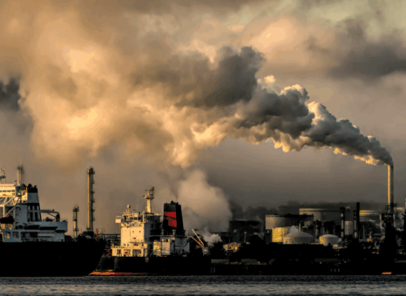 thumb basicsci&tech p51